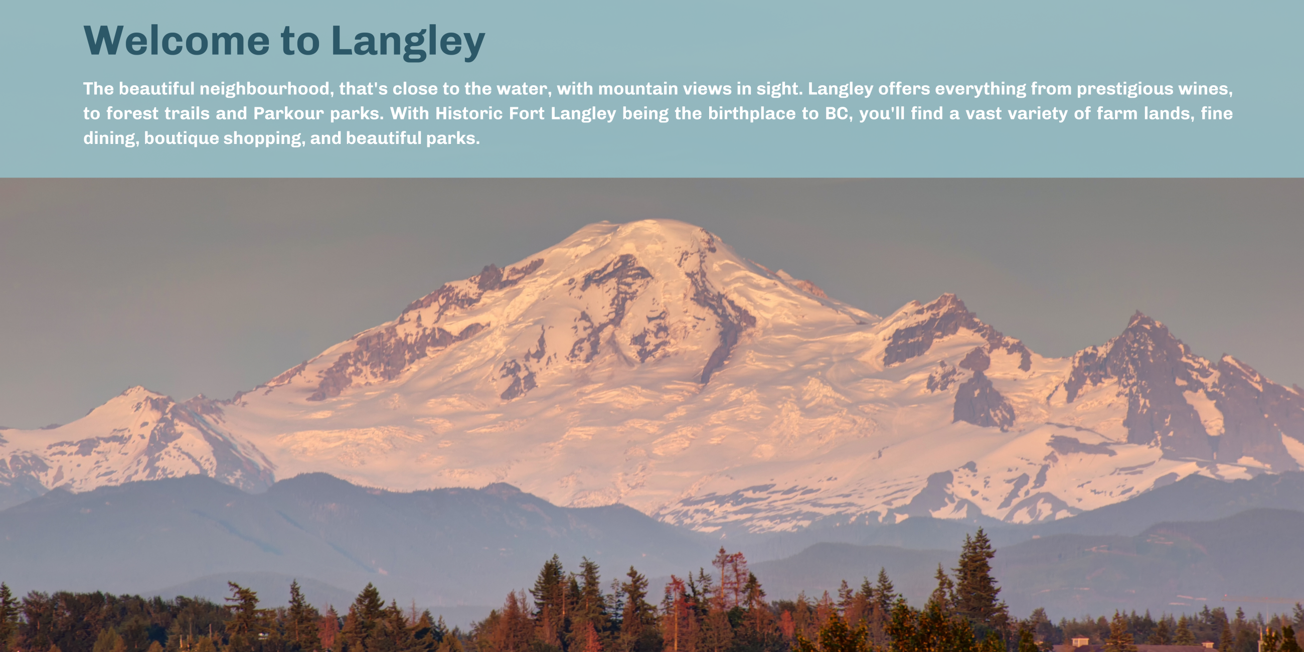 Langley Divisions of Family Practice