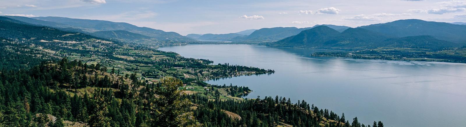 SOS Division of Family Practice