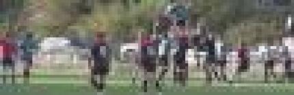 Video: Enjoy the Beauty, Culture and Amenities of the South Island