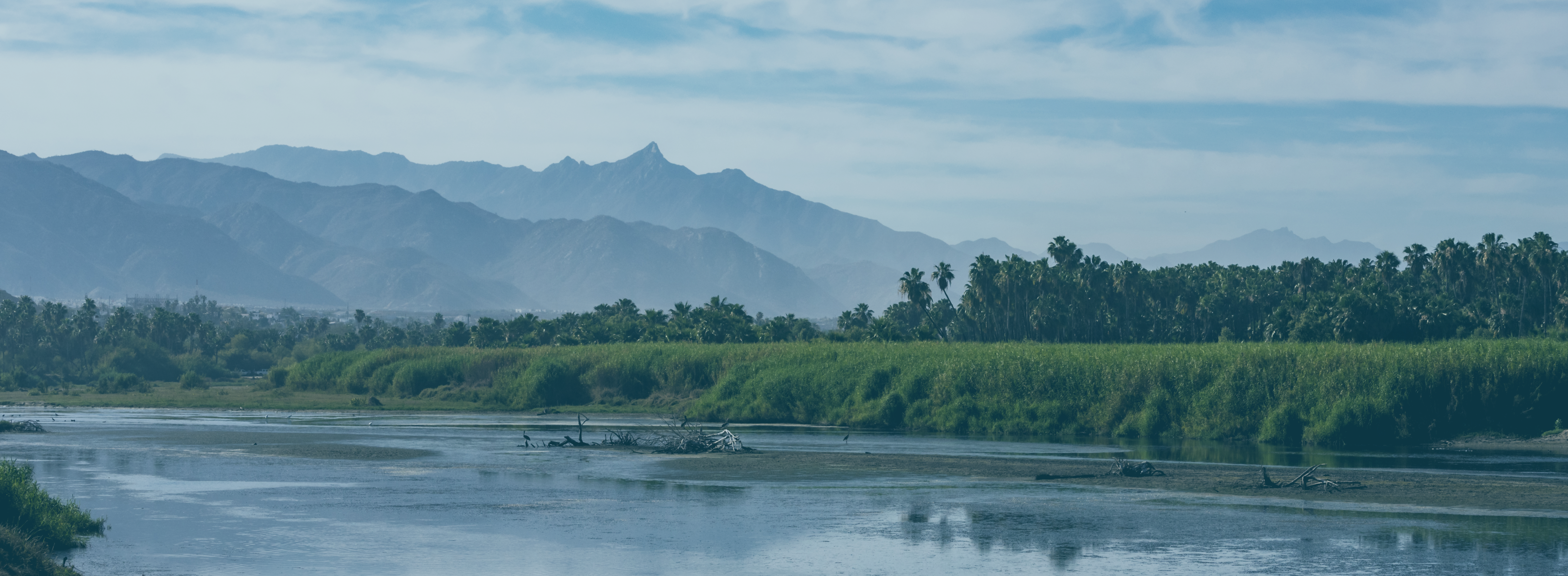 Coquitlam banner image