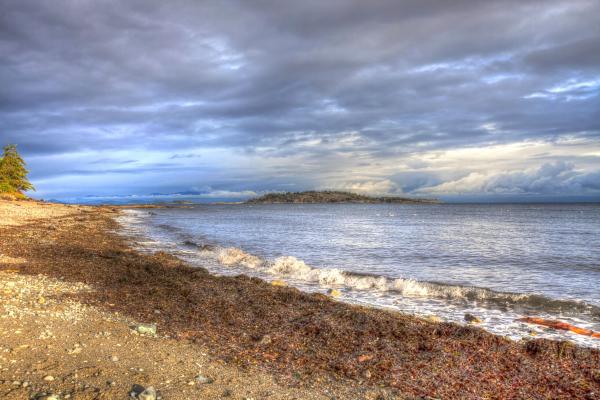 Living on Vancouver Island